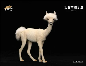 JXK 1/6 Scară JXK052A Părul Alb Alpaca 2.0 Vicugna Pacos Animal Figura Statuie Jucarii Model
